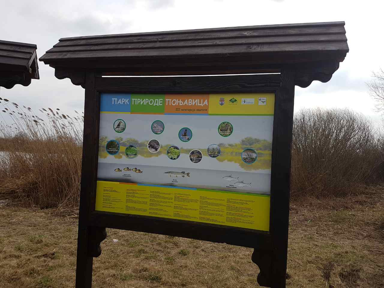 park prirode ponjavica (10)