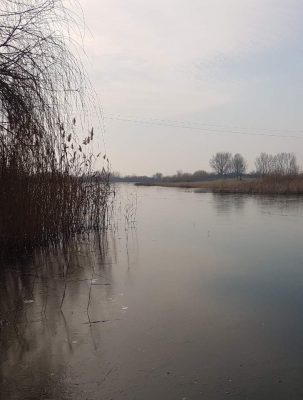 park prirode ponjavica (11)