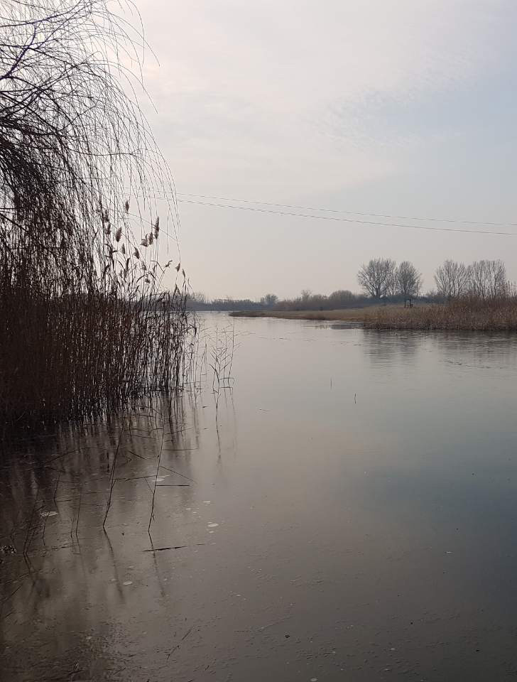 park prirode ponjavica (11)